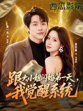 跟大小姐闪婚第一天，我觉醒系统